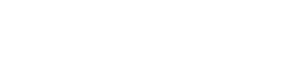 placehub-logo-white